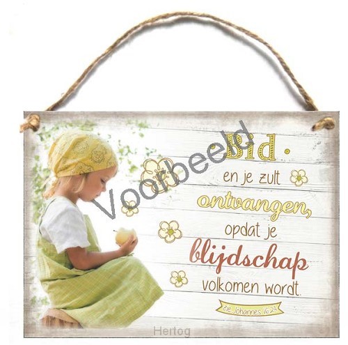 Bid en je zult ontvangen