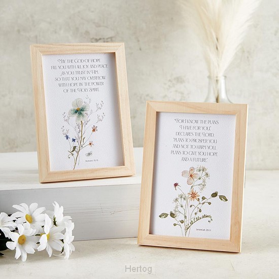 Frames (set2) Romans & Jeremiah