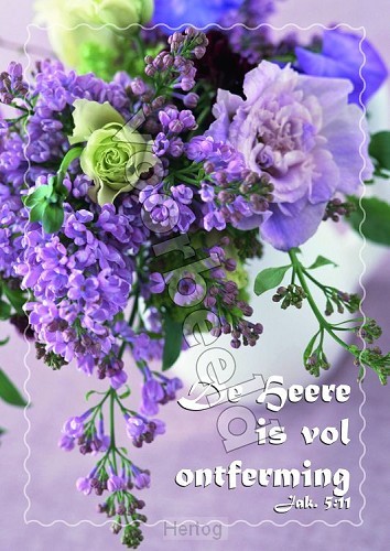 20-21 mix 10 hoogglans zonder envelop