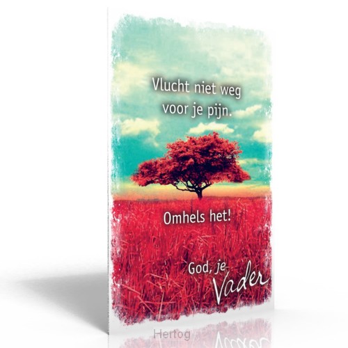 Kaart bijbeltje als het donker is