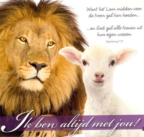 Wenskaart Ik ben altijd met je