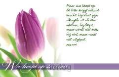 Minikaart wie hoopt op de Heer