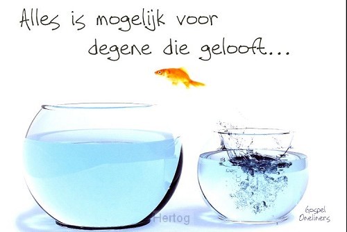 Prentbriefkaart alles is mogelijk