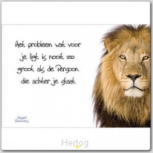 Prentbriefkaart het probleem dat voor je