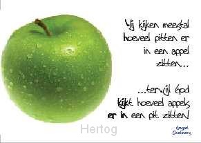 Minikaart wij kijken meestal hoeveel