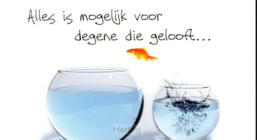 Minikaart alles is mogelijk