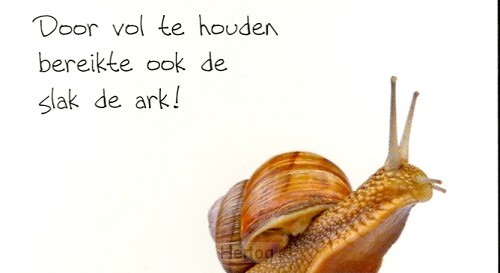 Minikaart door vol te houden