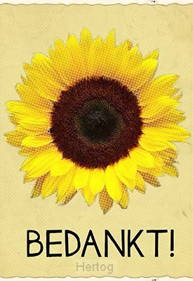 Wenskaart mijn plan met jullie