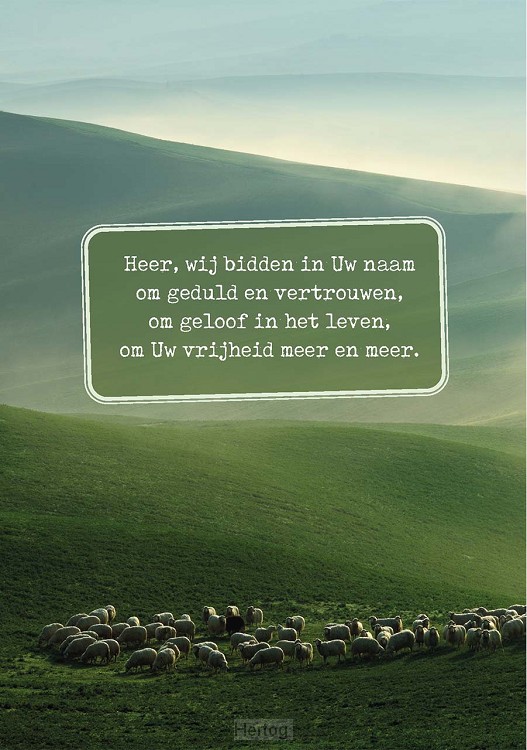 Wenskaart Heer wij bidden in Uw naam
