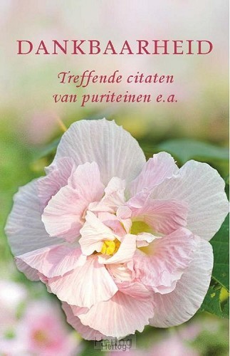 Pareltje dankbaarheid