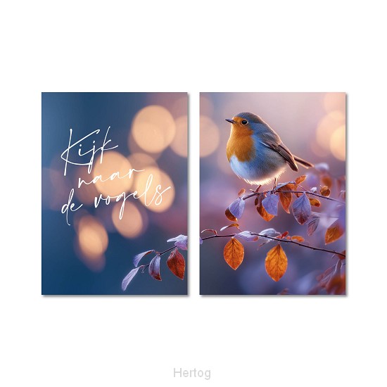 Wandbord A3 Kijk naar de vogels