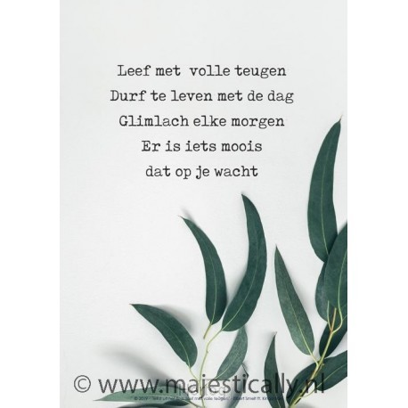 Poster a4 leef met volle teuge olijfblad