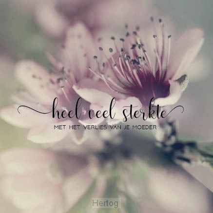 Kaart sterkte verlies moeder SV