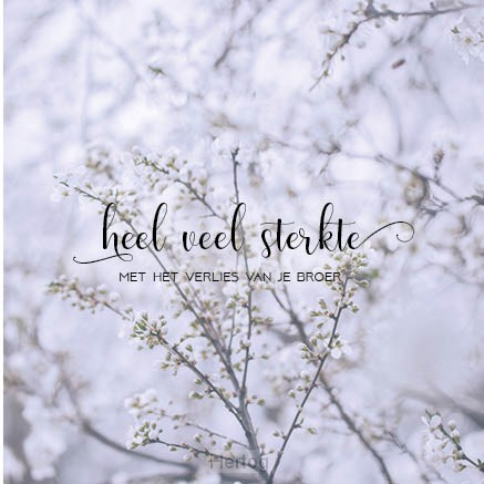 Kaart sterkte verlies broer