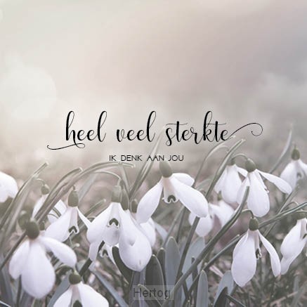 Kaart sterkte ik denk aan jou