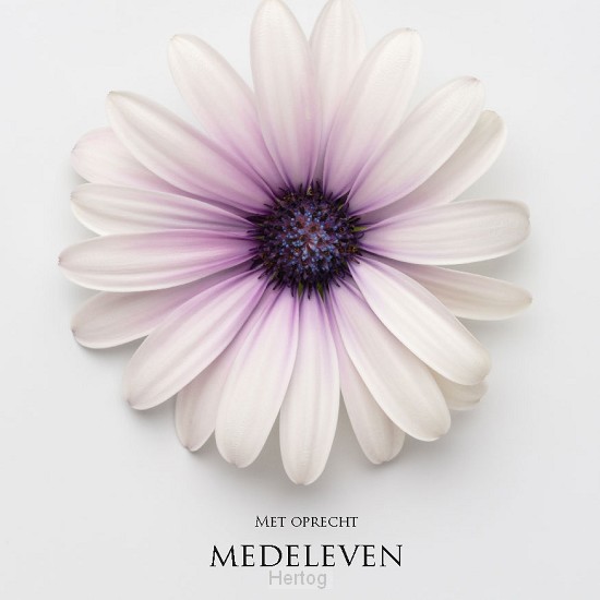 Kaart met oprecht medeleven