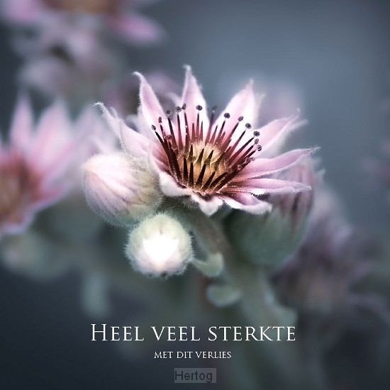 Kaart heel veel sterkte met dit verlies