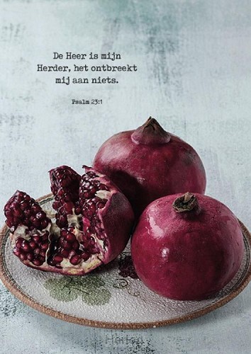 Poster de Heer is mijn Herder