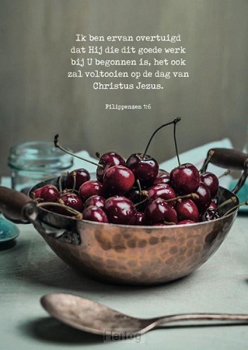 Poster Hij zal dit goede werk voltooien