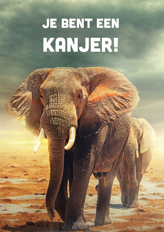 Kanjer - olifant