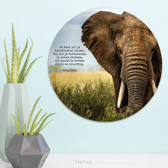 Olifant de Heer zal je leiden