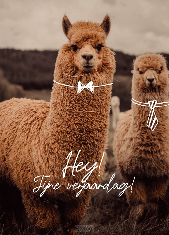 Wenskaart fijne verjaardag