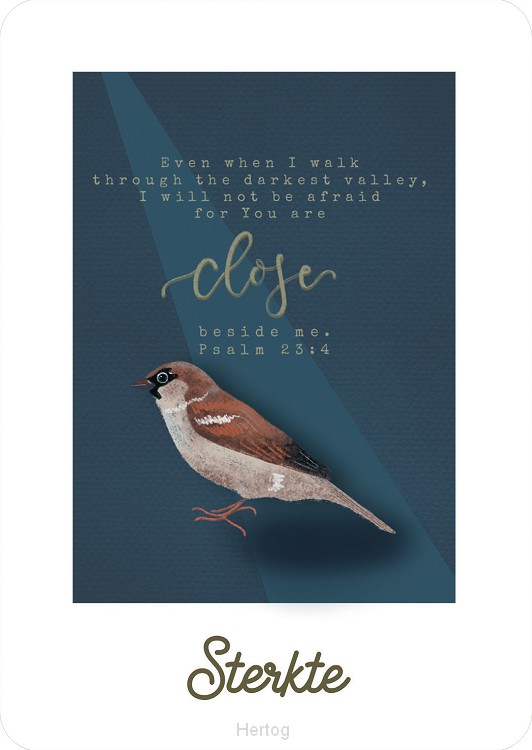 Kaart even when I walk