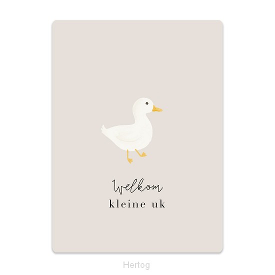 Welkom kleine uk