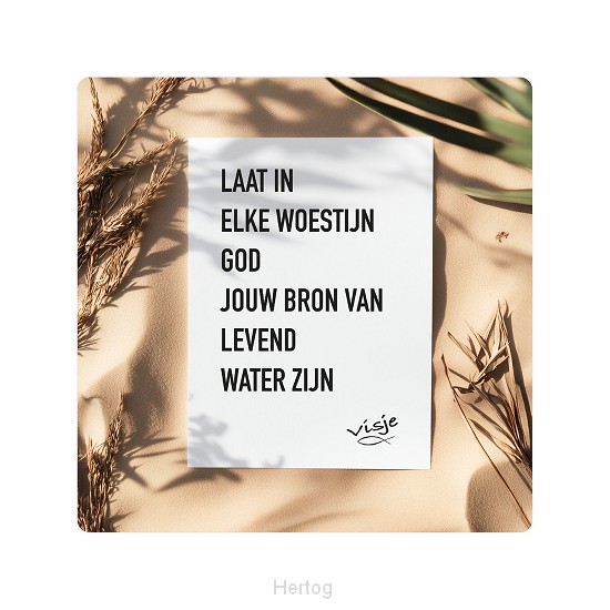 Visje bordje Woestijn