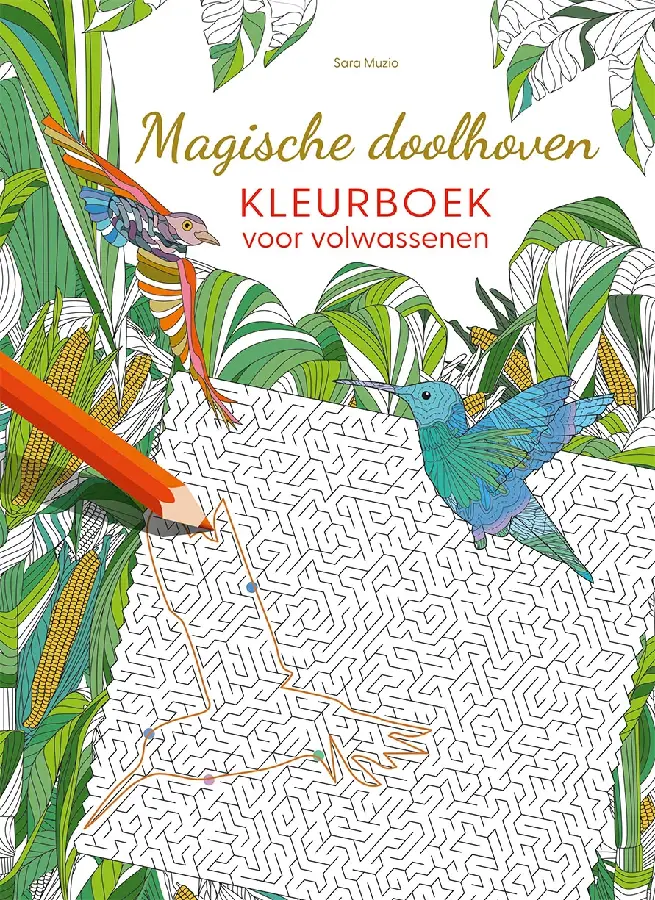 Magische doolhoven kleurboek voor volwas