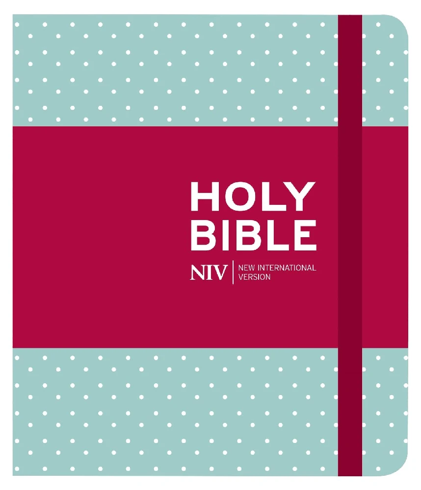 NIV - Journalling Bible
