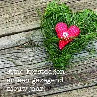 Kerstkaart hart in gras