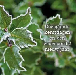 Kerstkaart hulst gezegende kerstdagen