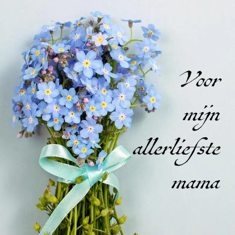 Voor mijn allerliefste mama  tamara