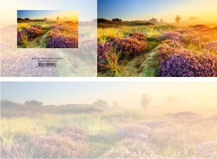 Panoramawenskaart zt bloeiende heide