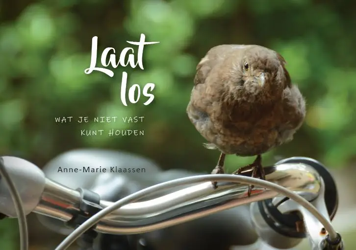 Laat los wat je niet kunt vasthouden