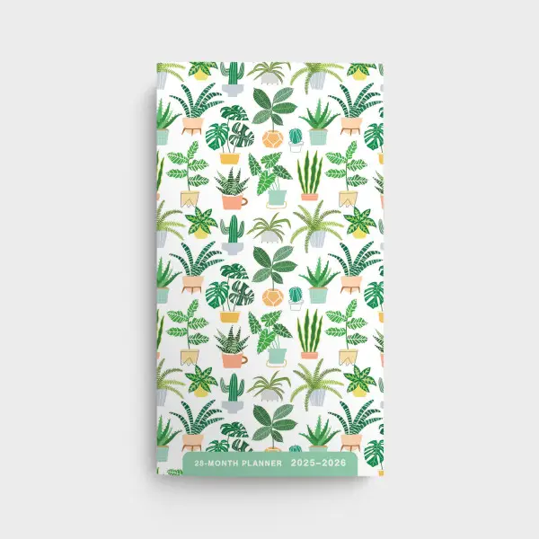 2025 - 28 month planner Succulents
