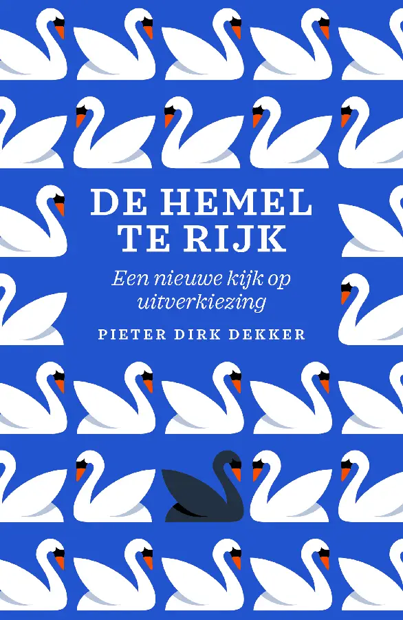 Hemel te rijk